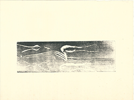 Joseph Beuys: Kometen