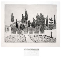 Hermann Teuber: Mediteraner Garten