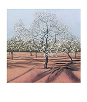 Gerhard Taubert: Blühende Bäume