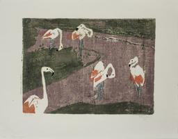 Hermann Teuber: Flamingos