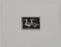 Hermann Teuber: Vögel