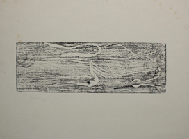 Joseph Beuys: Kometen