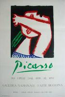 Pablo Picasso: Galleria Nazionale d ´Arte Moderna